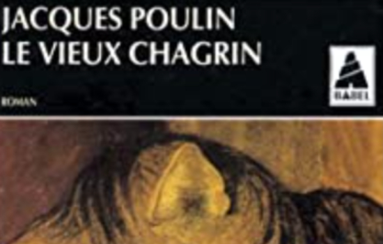 Le vieux chagrin / Jacques Poulin