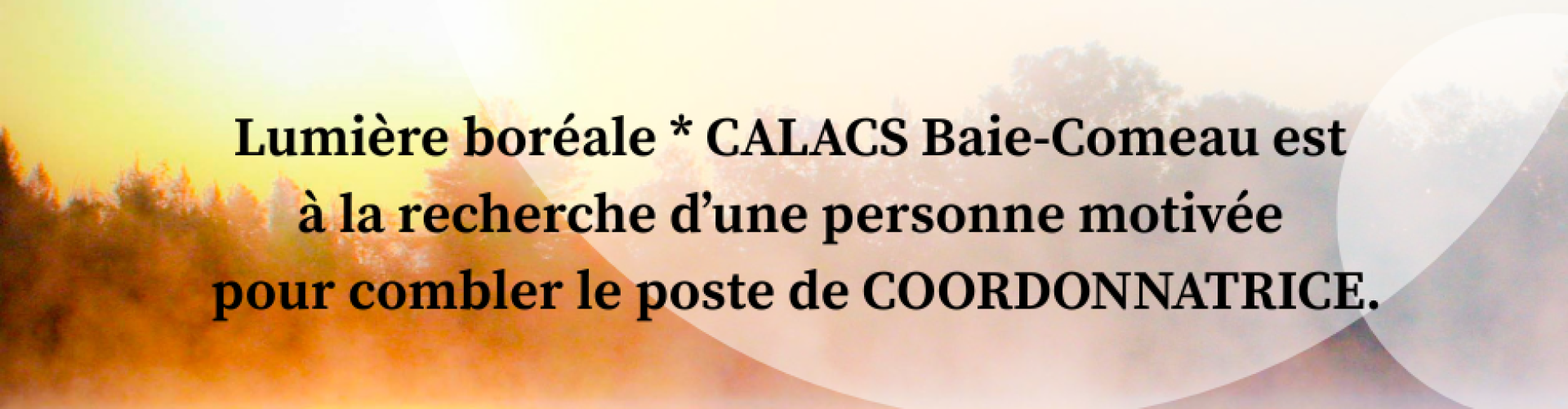 Offre d’emploi mai 2025
