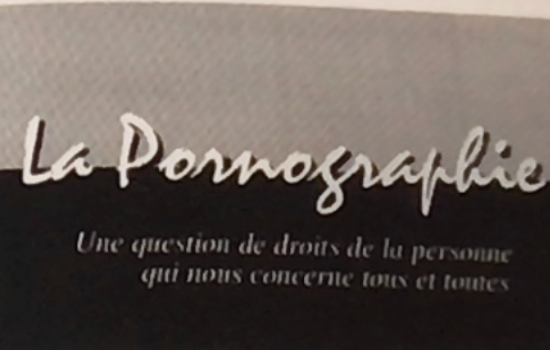 La Pornographie... une question de droits de la personne qui nous concerne tous et toutes (Titre de la couv.: La pornographie... un problème non résolu)