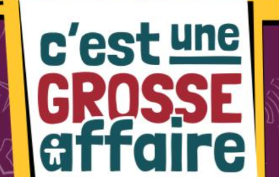 Cahier d'activités « C’est une grosse affaire » (9e-12e année/3e-5e secondaire)