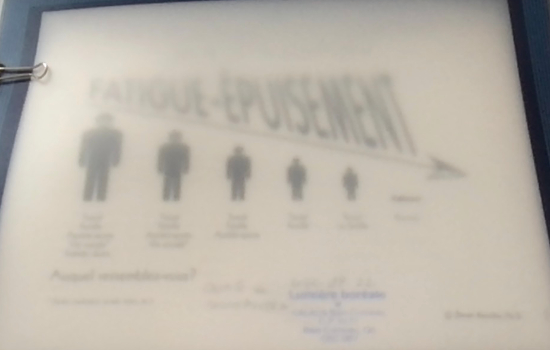 L'effet de la fatigue et de l'épuisement sur la vie des individus Fatigue-Épuisement / Danie Beaulieu