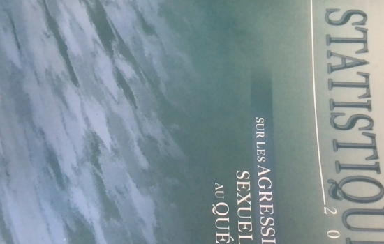 Statistiques sur les agressions sexuelles au Québec 2002