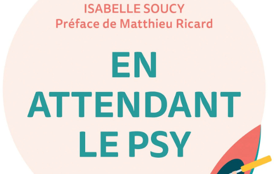 En attendant le psy Prendre sa santé psychologique en main un défi à la fois